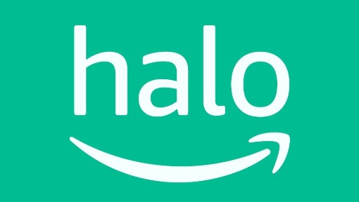 Docker-Compose安装Halo